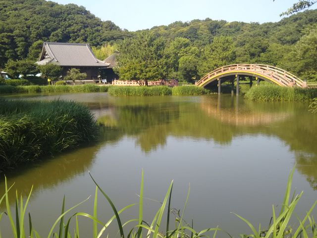 �̖����뉀