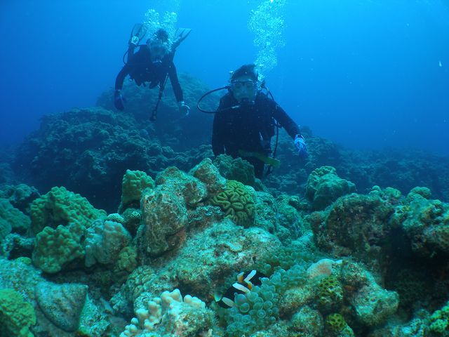 �ʐ^�Ⴆ�܂�_Sea Monk