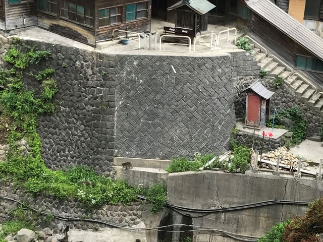 �������٘e������Ă��܂��B_�n���J����