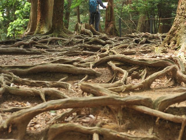 �؂̍��K�i_�Ɣn�R