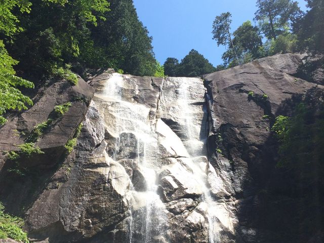 �V�͑�I_�c���̑�