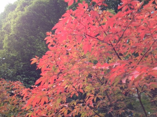 �g�t_��x�R