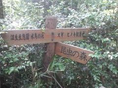 Ƃ񂳂̍̐Xւ̓eʐ^1