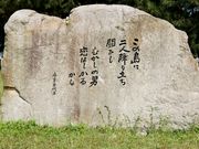 Ƃ񂳂̛ܗe̍L̓eʐ^2