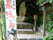 Ƃ񂳂̛ܗe̍L̓eʐ^4