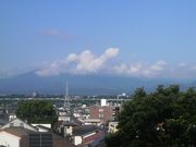 Ƃ񂳂̍Ԑ_Ђ̓eʐ^5