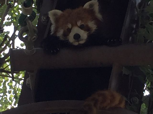 �ʂ�����݂݂���_���R������