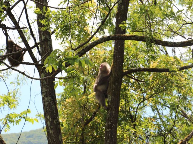 jkammy07̉΂̘H̓eʐ^2