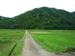 ̂̃O[glC`[cA[Yւ̓eʐ^1