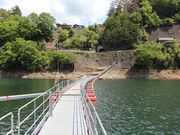 jkammy07̉΂̘H̓eʐ^1