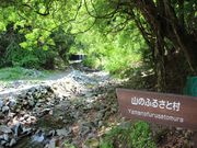 jkammy07̉΂̘H̓eʐ^3