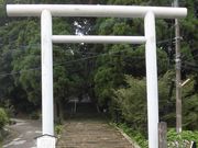 ڂ肳̓cm㔪_Ђ̃NX̓eʐ^1