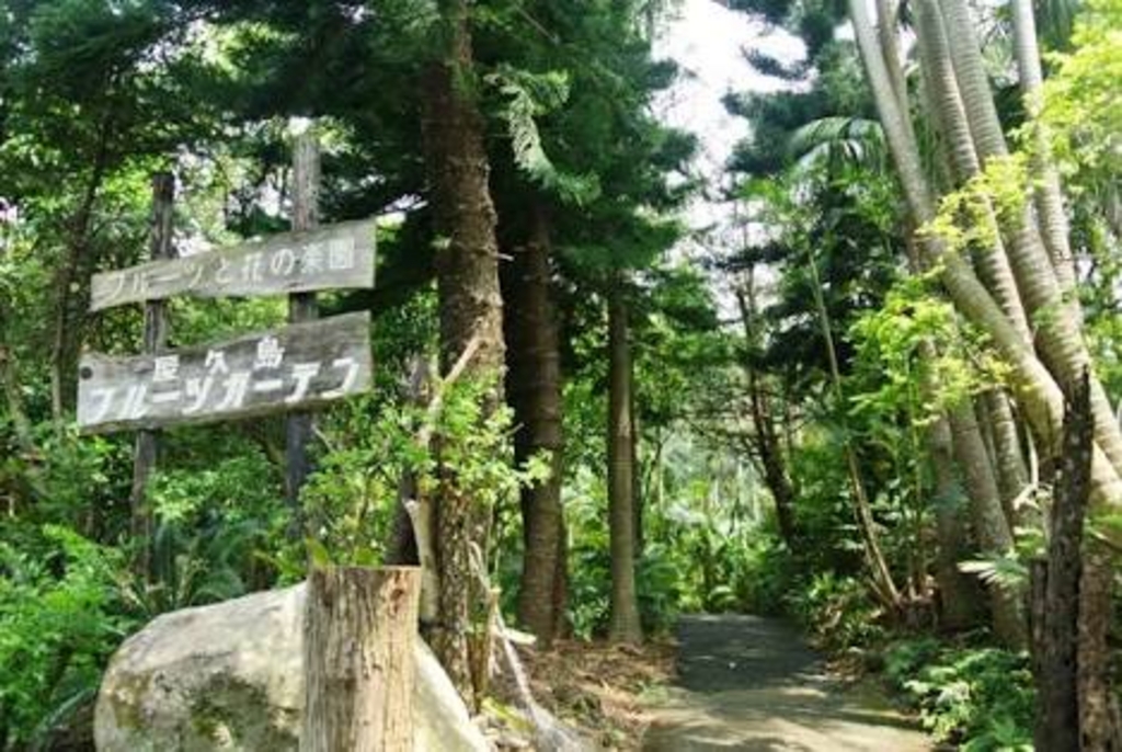 屋久島フルーツガーデン(パパイヤの里)