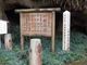 ぼりさんの田ノ上八幡神社のクスの投稿写真3