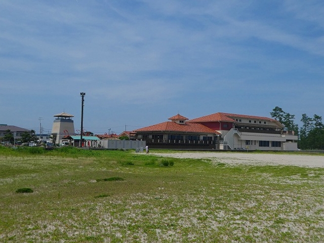 �F������_�F������C�V�r�[�`�i���F������C������j