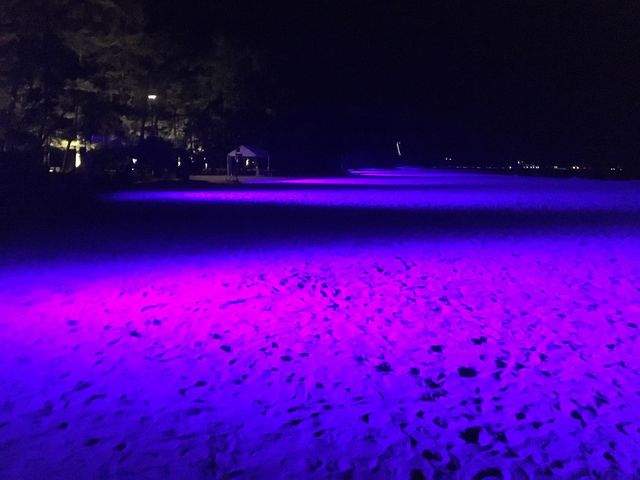 �V�����A���l�ł̌��z�I�ȃ��C�g�A�b�v�B_�V����