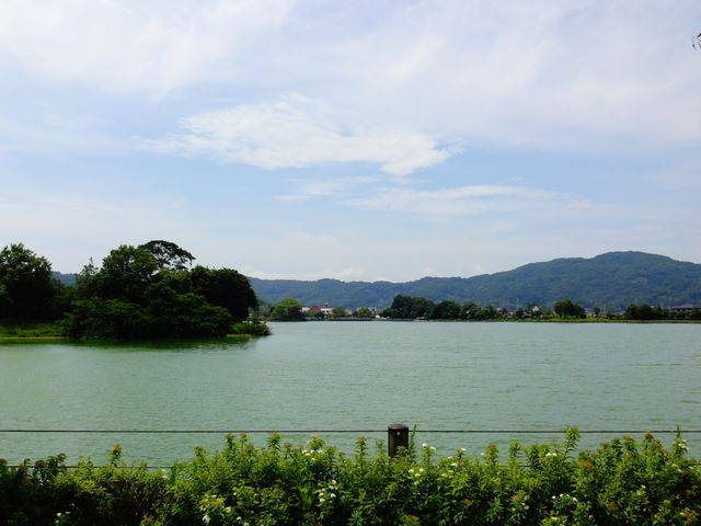 平池緑地公園】アクセス・営業時間・料金情報 - じゃらんnet