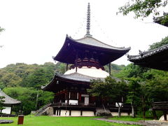 根來寺大塔の口コミ一覧 じゃらんnet