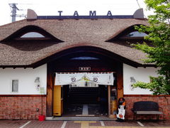 ǁ[̋Muwi܃~[WA jւ̓eʐ^1