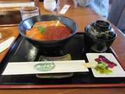 E102̓̉w ƂEVGgN̓eʐ^1