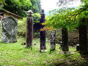 ǁ[̐Αܗ֑kQ̓eʐ^1