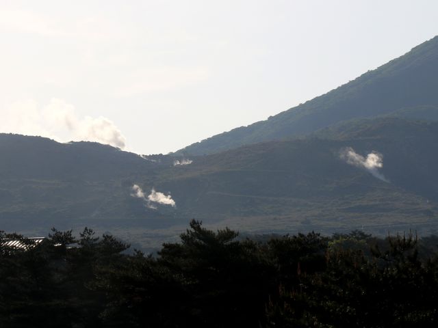 ���C_�z�e�� �s�R ���i�C ���т̍���