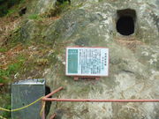 �g�V���[����̃q�J���S�P�̓��e�ʐ^1