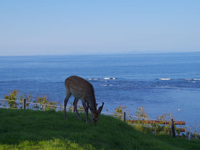 ����ɂ͎��̎p��_���C�R�]�O