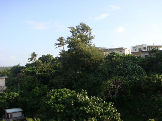 chaka����̃r���E�̓��e�ʐ^3