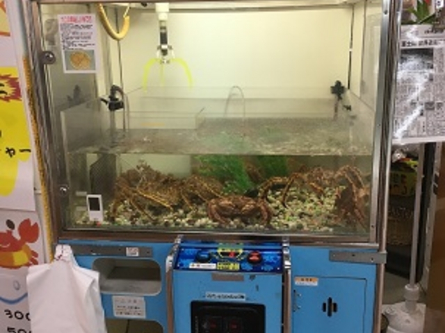 �уK�j�L���b�`���[_���H�t�B�b�V���[�}���Y���[�tMOO�EEGG