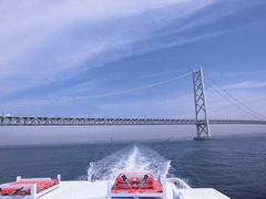 ݂̖ΊC勴ubW[hւ̓eʐ^1