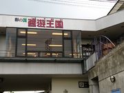 コ̋|푽ݖ()@ݗV {X H̓eʐ^1