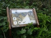 chaka����̃r���E�̓��e�ʐ^1