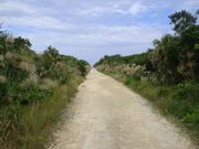 chaka����̃r���E�̓��e�ʐ^2