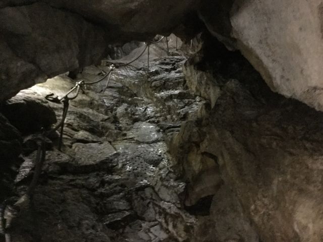 �����ߓ���