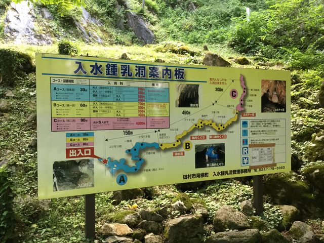 �����ߓ���