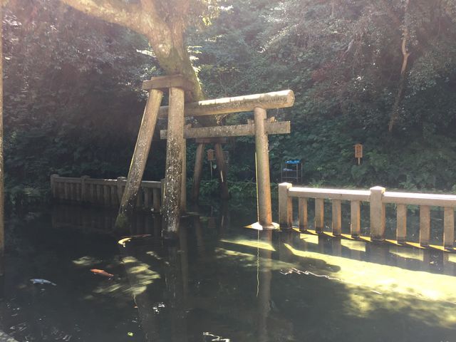 DȏꏊBrB~̒ɂăTCR[ɌzI_xe ݂炵