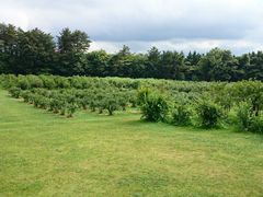 ǂ݂̂u[x[_ւ̓eʐ^1