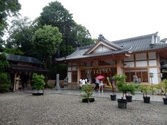 w-masa̐__ЂƐΐ_ւ̓eʐ^1