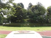 dai-neko̕AˌÕjL̓eʐ^1