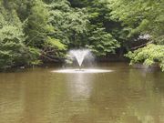 dai-neko̘acx̓eʐ^1