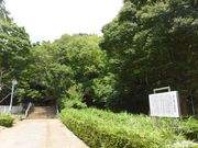 dai-nekỏ̏R̓eʐ^1