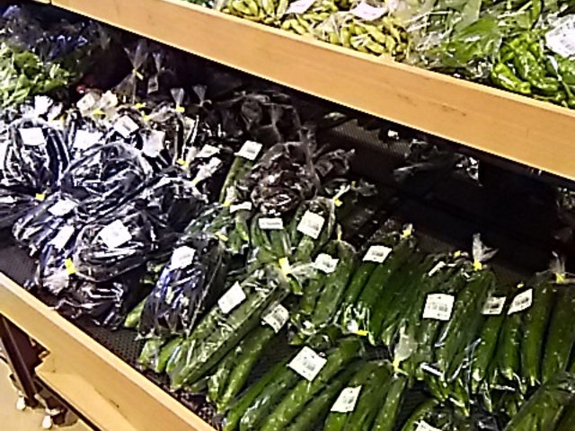 �̂ꂽ�āB_���̉w �ӂꂠ���p�[�N�E���݂� ���݂ӂ邳�ƕ��Y��