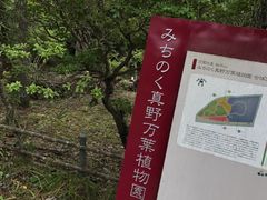 �݂�����񂳂�݂̂��̂��^�얜�t�A�����ւ̓��e�ʐ^1