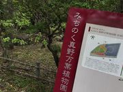 ݂񂳂݂̂̂^얜tA̓eʐ^1