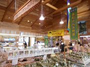 asuka̓̉w ӂܓa Ԃ܊ق̓eʐ^2