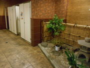 asuka̐̉w@i݂̓eʐ^2