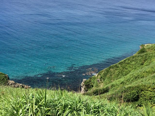 ����Ɍ���i�F_�_�Ж�