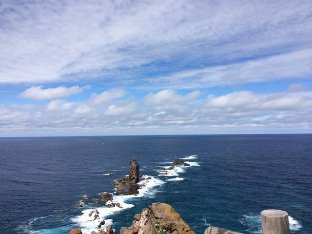 ���̐�[_�_�Ж�