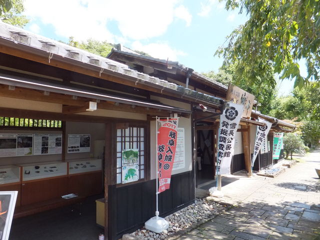 e[}~[WAƂĊg唭Ŵł傤B_򕌌